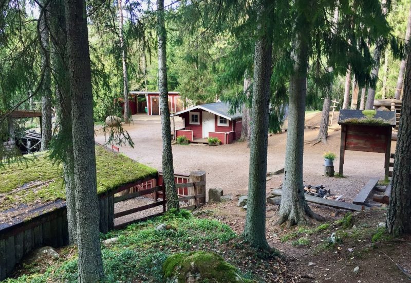 The main area