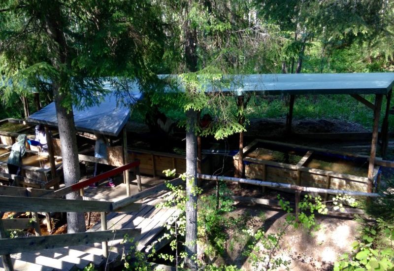 Gold panning area