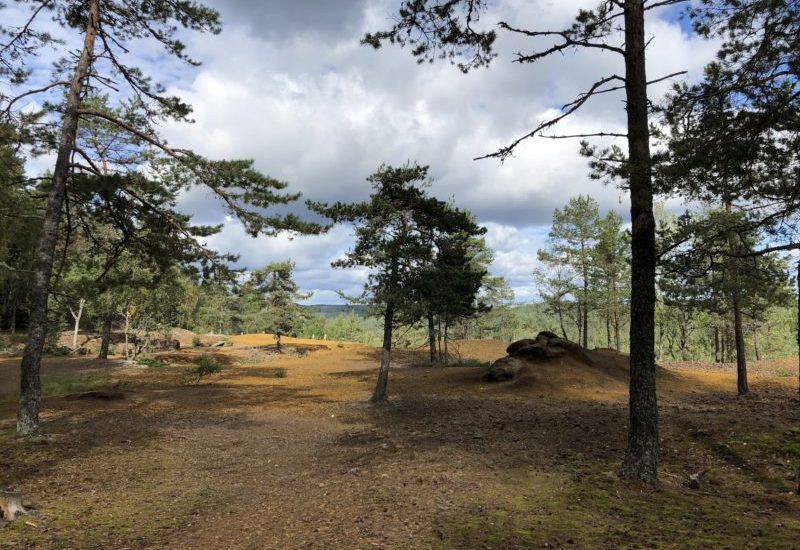 On the plateau