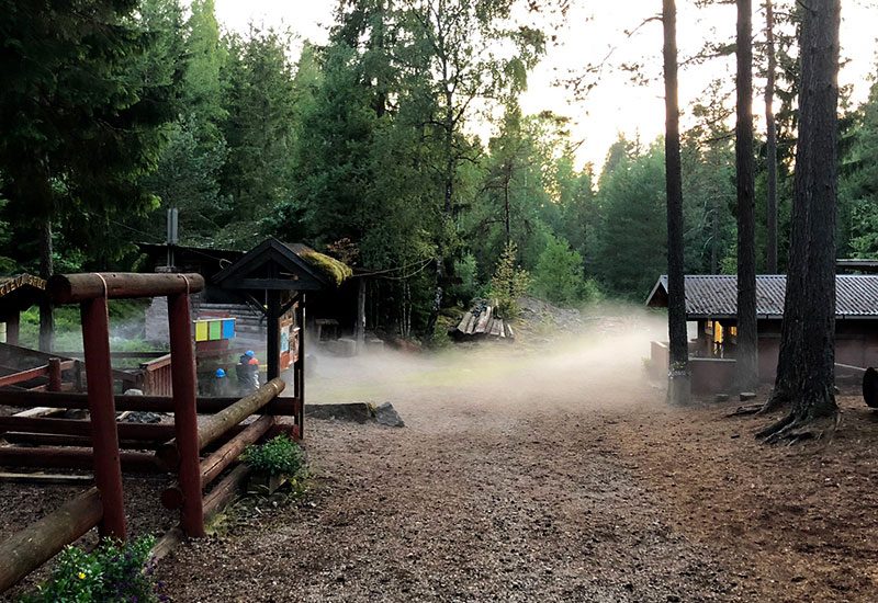 Morning fog