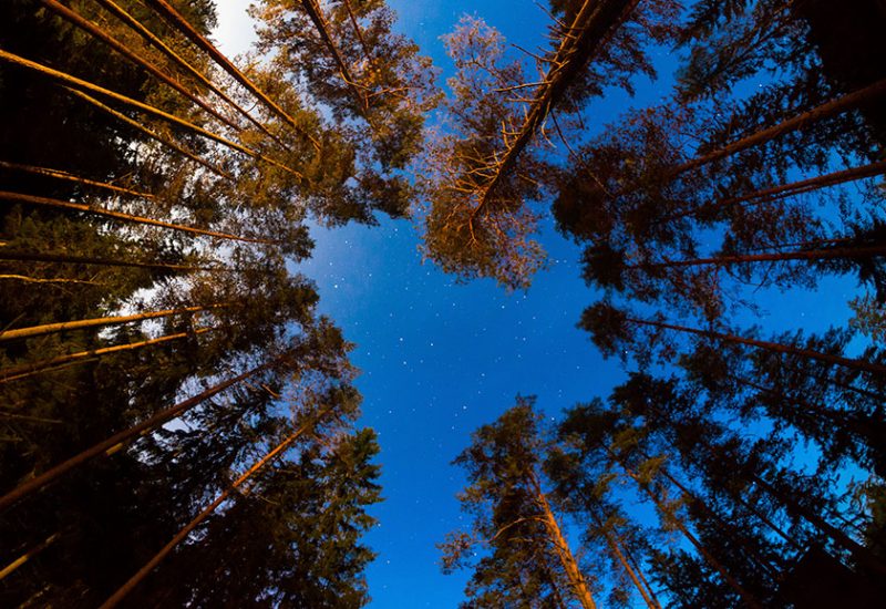 Nothing but stars above