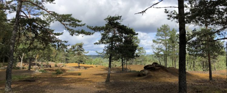 On the plateau